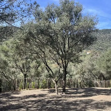 Daire N7 Maison T2 Climatise Avec Jacuzzi Prive Ajaccio (Corsica)