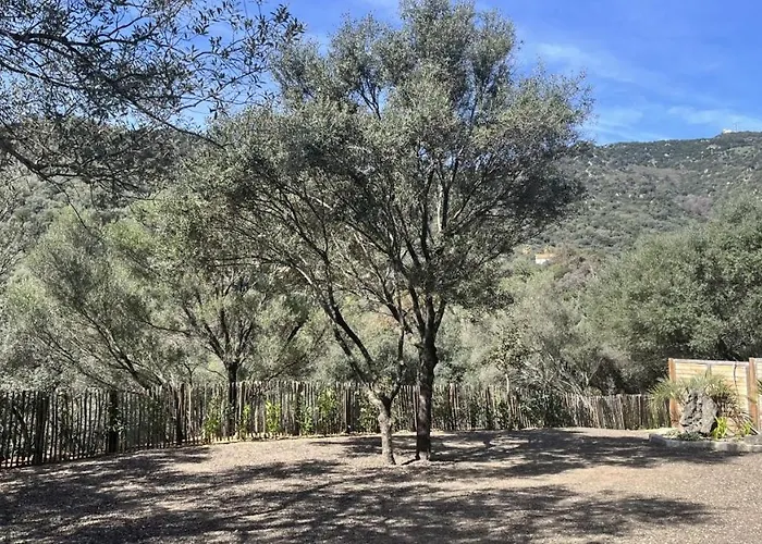 Daire N7 Maison T2 Climatise Avec Jacuzzi Prive Ajaccio (Corsica)